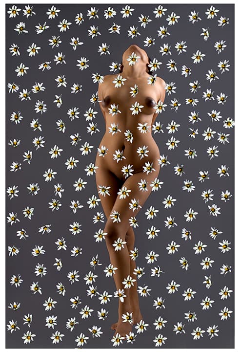 Nude dissolving into a daisy field