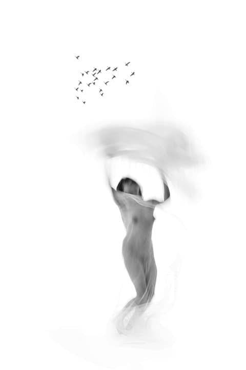 High-key figure lifting fabric as birds scatter